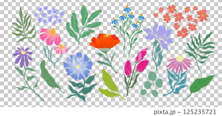 色んな形の花と葉の植物のイラストセット カラフルな花のベクターイラスト 色んな形の花と葉の植物のイラストセット カラフルな花のベクターイラスト 125235721