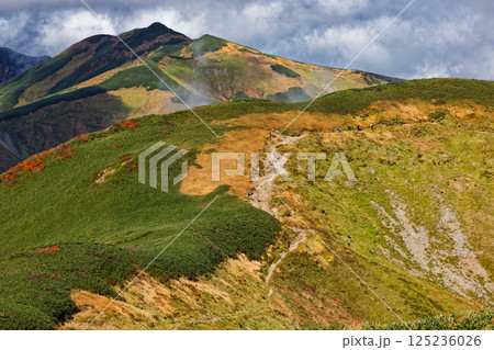 飯豊連峰・主稜線縦走路の草紅葉と雲湧く烏帽子岳への山並み 125236026