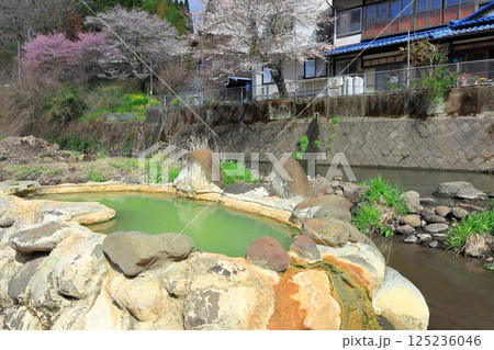 【大分県】長湯温泉のガニ湯と満開の桜 125236046