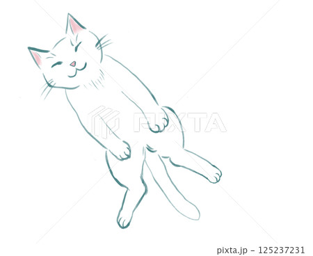 まったりとリラックスして仰向けに寝る白猫 125237231