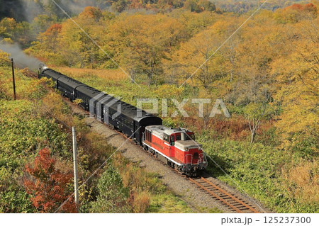 紅葉の函館本線 125237300