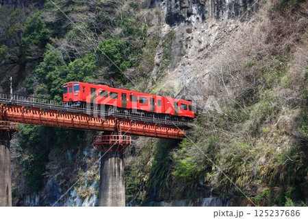 【大分県】列車と岩戸の景観 125237686