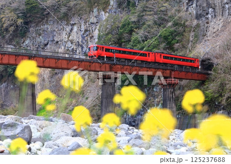 【大分県】列車と岩戸の景観 【大分県】列車と岩戸の景観 125237688