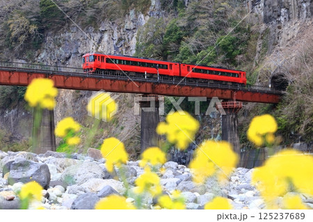 【大分県】列車と岩戸の景観 【大分県】列車と岩戸の景観 125237689