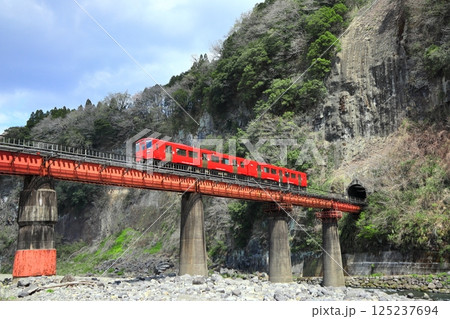 【大分県】列車と岩戸の景観 125237694