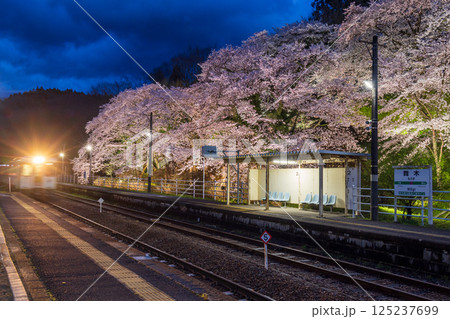 福島県郡山市舞木駅の桜ライトアップ 125237699