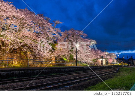 福島県郡山市舞木駅の桜ライトアップ 125237702