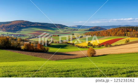A beautiful, colorful field with a blue sky in the background 125238162