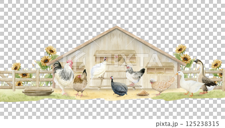Chicken coop with hens, rooster and geese on farm watercolor illustration isolated on white. Poultry yard guinea fowl birds in realistic style. Farmyard scene clipart for village horizontal banners 125238315