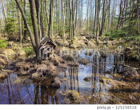 Small wooden birdhouse, forest a spring flood 125238518