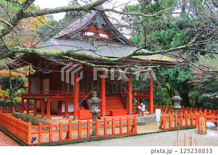 秋の談山神社（東殿・奈良県桜井市） 125238833