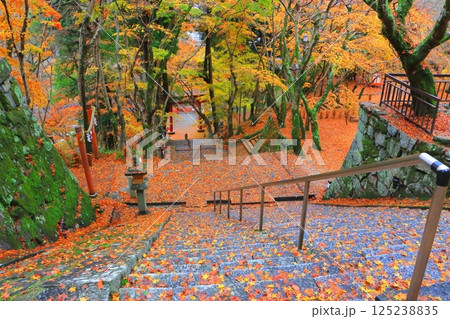 秋の談山神社（参道・奈良県桜井市） 125238835