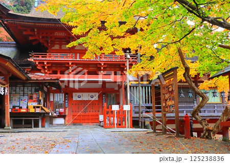 秋の談山神社（桜門・奈良県桜井市） 125238836