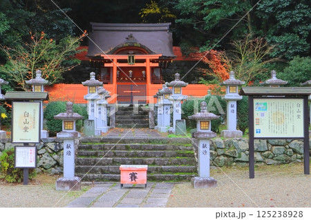 秋の安倍文殊院（白山堂・奈良県桜井市） 125238928