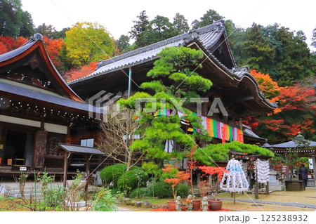 秋の岡寺（本堂・開山堂・奈良県明日香村） 125238932