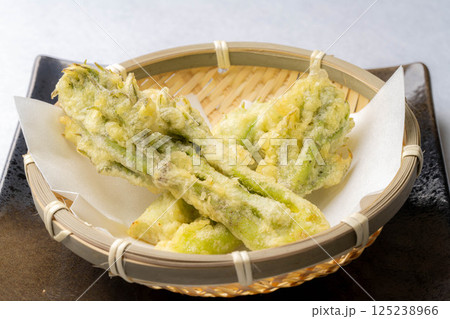 【春の味覚】タラの芽の天ぷら【長野県】 125238966