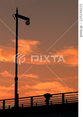 夕焼けに染まる雲と陸橋を渡る通り人 夕焼けに染まる雲と陸橋を渡る通り人 125239215