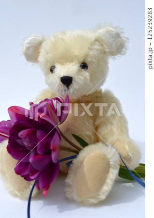 紫色のチューリップの花束と白いテディベア 紫色のチューリップの花束と白いテディベア 125239283