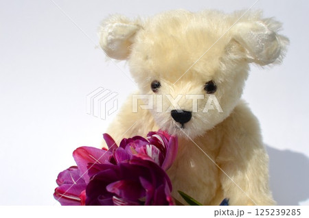 紫色のチューリップの花束と白いテディベア 紫色のチューリップの花束と白いテディベア 125239285