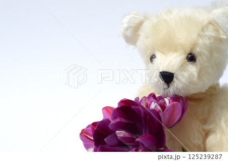 紫色のチューリップの花束と白いテディベア 紫色のチューリップの花束と白いテディベア 125239287