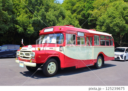 【愛媛県】　愛媛県歴史文化博物館　ボンネットバス 125239675