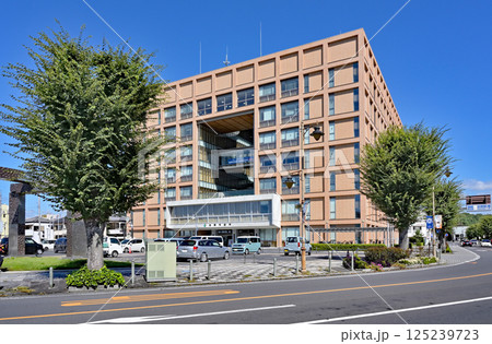 佐野散歩:佐野市役所 栃木県佐野市 佐野散歩:佐野市役所 栃木県佐野市 125239723