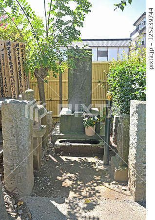 佐野散歩：佐野厄よけ大師　天台宗 惣宗寺　栃木県佐野市 125239744