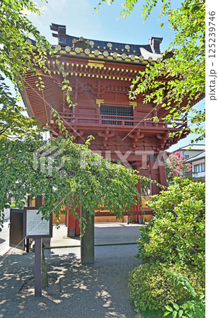 佐野散歩：佐野厄よけ大師　天台宗 惣宗寺　栃木県佐野市 125239746