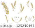 小麦のナチュラルな手書き風イラストとフレーム 125240464