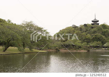 横浜市三渓園・三渓園の春 横浜市三渓園・三渓園の春 125240512