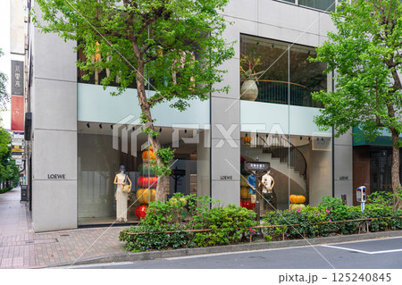 LOEWE(ロエベ) 銀座 LOEWE(ロエベ) 銀座 125240845