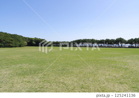 春の稲毛海浜公園・芝生広場 春の稲毛海浜公園・芝生広場 125241136