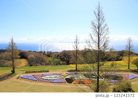 あわじ花さじき 125241572
