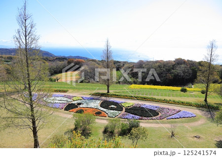 あわじ花さじき あわじ花さじき 125241574