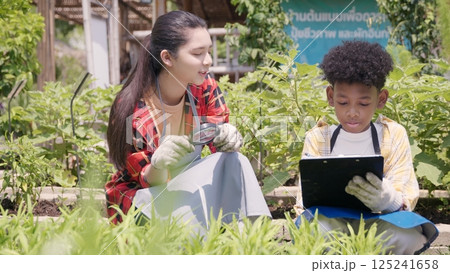 Happy children farmer hands holding magnifying glass and looking at vegetables in hydroponics farm, Biotechnology kid examining plant leaf, agriculture school learning research for science concept 125241658