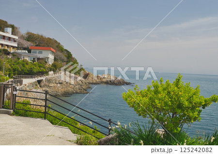 気分は南欧!!きらきら坂 恋人の聖地 赤穂 気分は南欧!!きらきら坂 恋人の聖地 赤穂 125242082