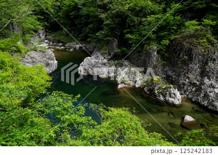 緑深い初夏の表匹見峡黒淵 Ver4 緑深い初夏の表匹見峡黒淵 Ver4 125242183