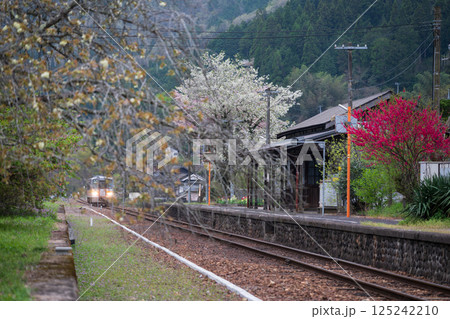 日本の岡山県新見市の岩山駅の美しい春の風景 日本の岡山県新見市の岩山駅の美しい春の風景 125242210