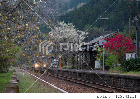 日本の岡山県新見市の岩山駅の美しい春の風景 日本の岡山県新見市の岩山駅の美しい春の風景 125242211