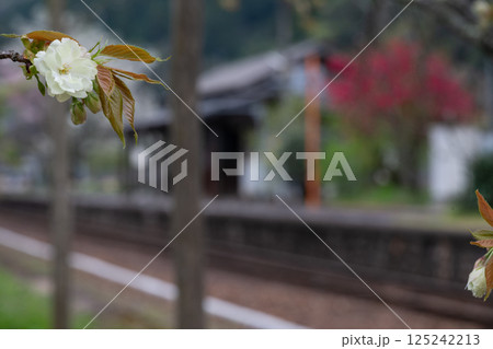 日本の岡山県新見市の岩山駅の美しい春の風景 日本の岡山県新見市の岩山駅の美しい春の風景 125242213