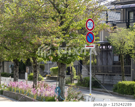 道路標識と葉桜 125242289