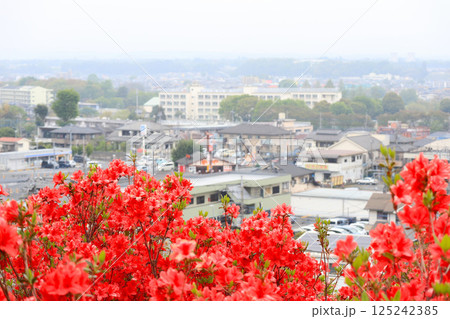 ツツジの丘から見下ろす街並み ツツジの丘から見下ろす街並み 125242385