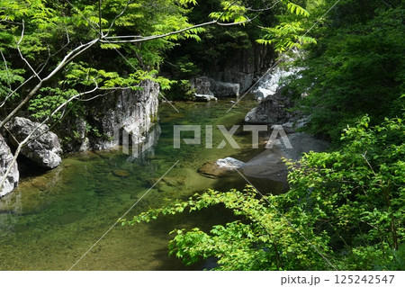 緑深い中を流れる表匹見峡の渓流　Ver3 125242547