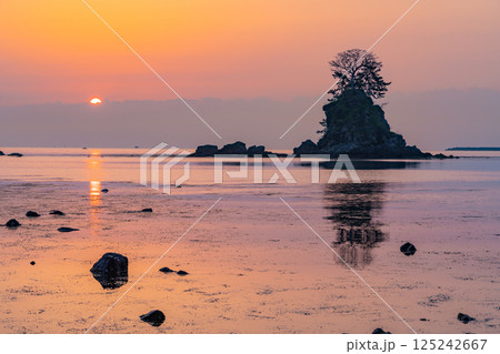 (富山県)雨晴海岸・女岩 立山連峰から日の出 (富山県)雨晴海岸・女岩 立山連峰から日の出 125242667