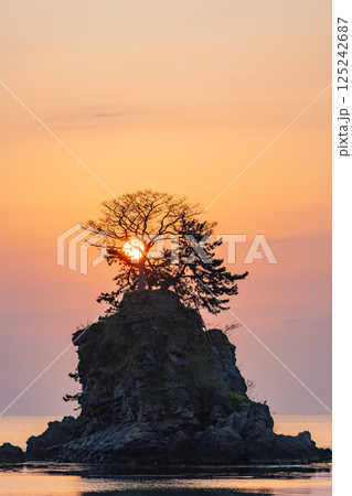 （富山県）雨晴海岸の夜明け　日の出 125242687