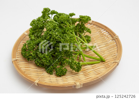 ざるの上のパセリ 茎が付いたままの新鮮なパセリ ざるの上のパセリ 茎が付いたままの新鮮なパセリ 125242726