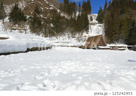 雪原の中に合掌造りの家が建つ相倉合掌造り集落の風景 雪原の中に合掌造りの家が建つ相倉合掌造り集落の風景 125242955