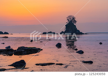 （富山県）雨晴海岸の夜明け　日の出前の光景 125243050