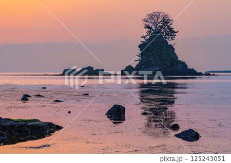 （富山県）雨晴海岸の夜明け　日の出前の光景 125243051