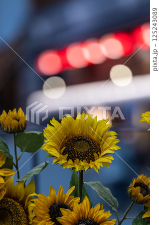 ディスプレイされたひまわり 125243089